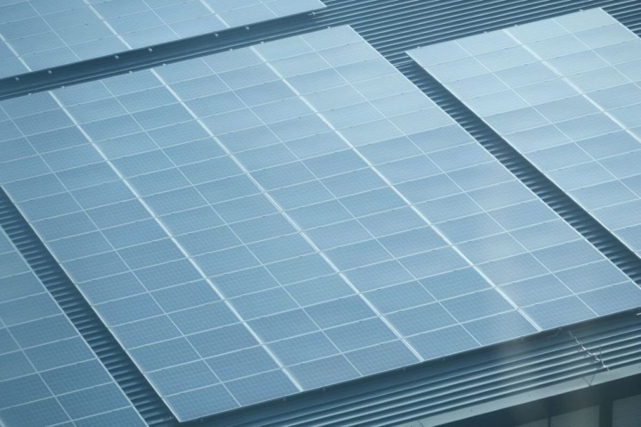 combien rapporte 1000 m² de panneaux solaires