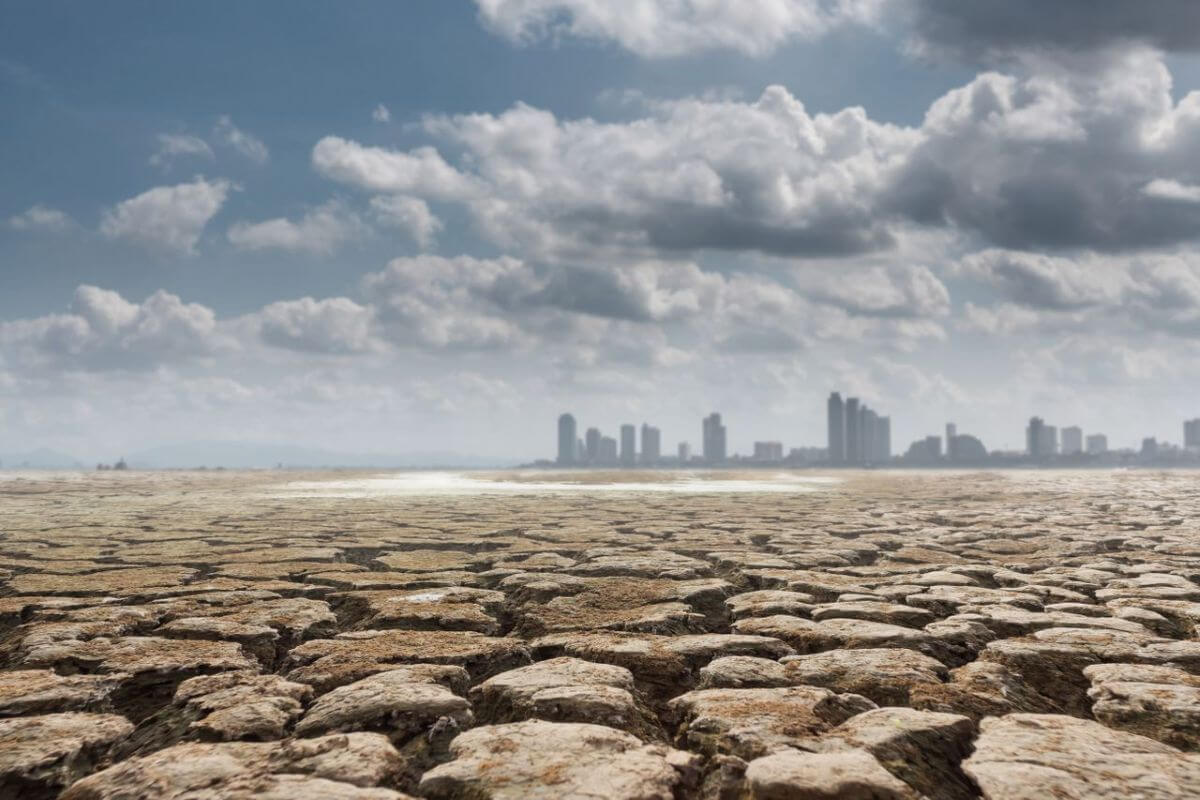 conséquences du réchauffement climatique