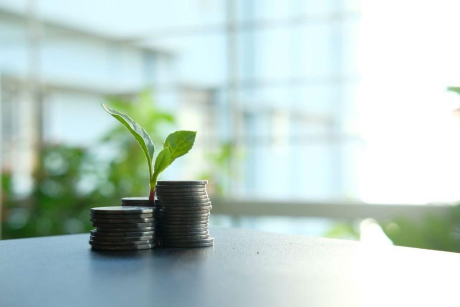 entreprise à impact