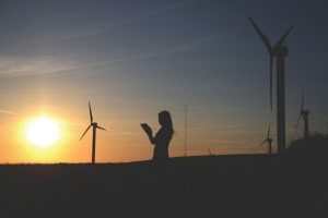 3 piliers du développement durable