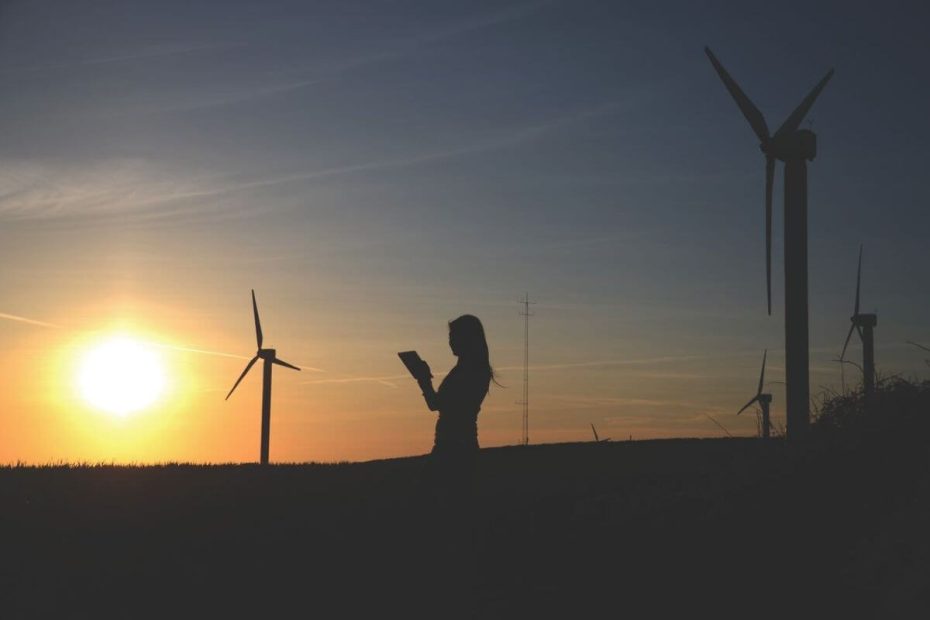 3 piliers du développement durable