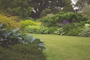 jardin écologique