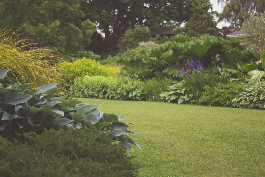 jardin écologique