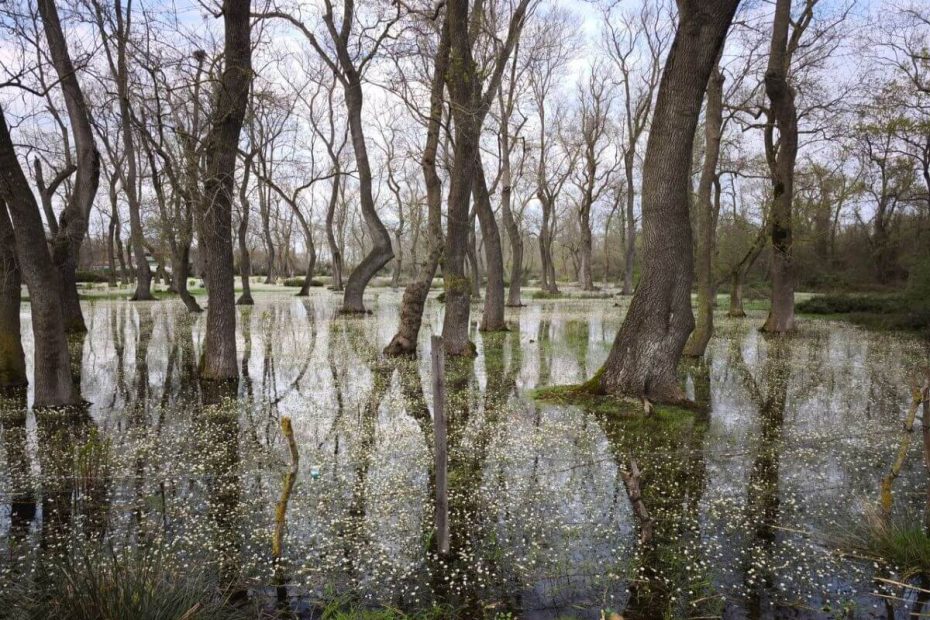 montée des eaux